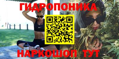 apvp Вышний Волочёк