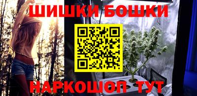 apvp Вышний Волочёк