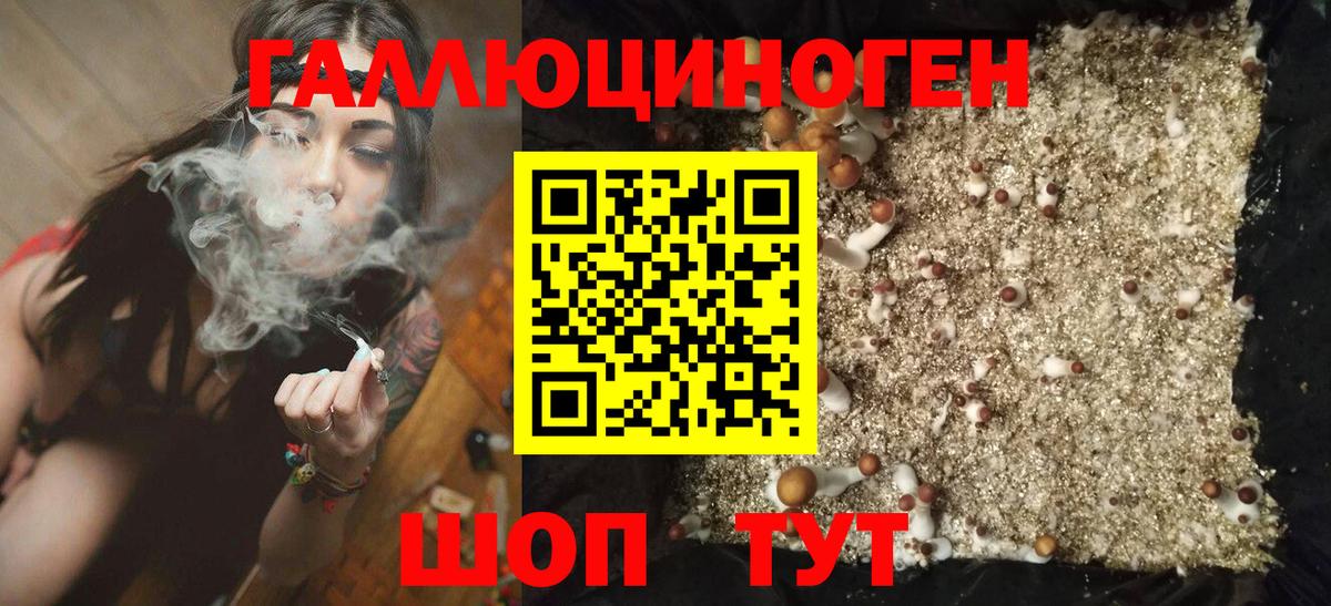 Галлюциногенные грибы мухоморы Артём