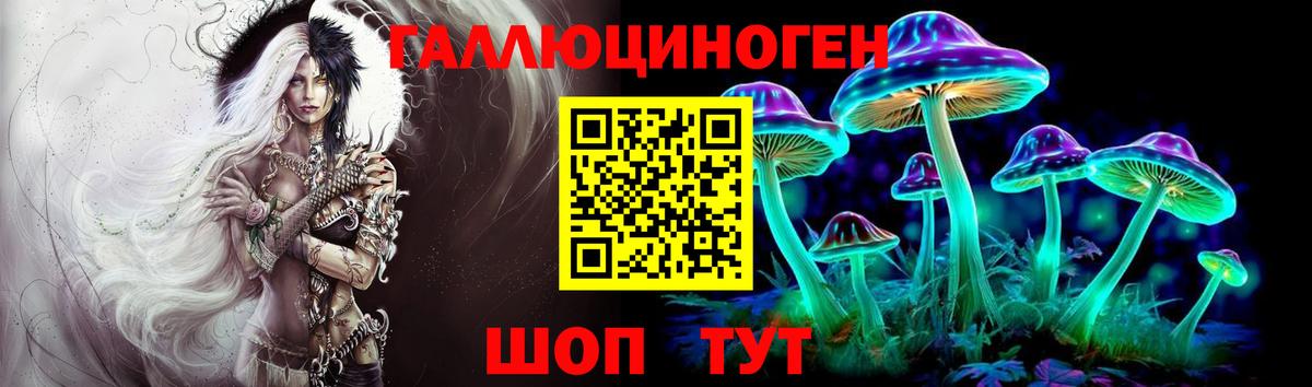 цена   Галлюциногенные грибы Psilocybe  Артём  Вход с VPN  Псилоцибиновые грибы прущие грибы 